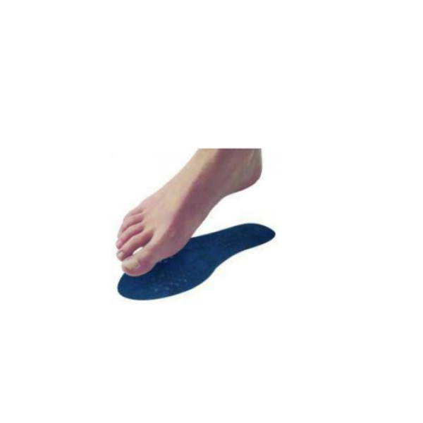 Plantilla Anat For T 2 3940 250657