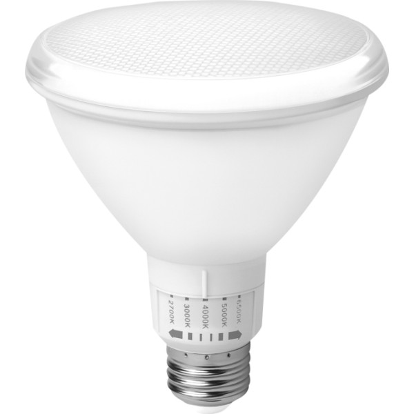 Bomb.led par 38 ip65 e27 15w.5cct